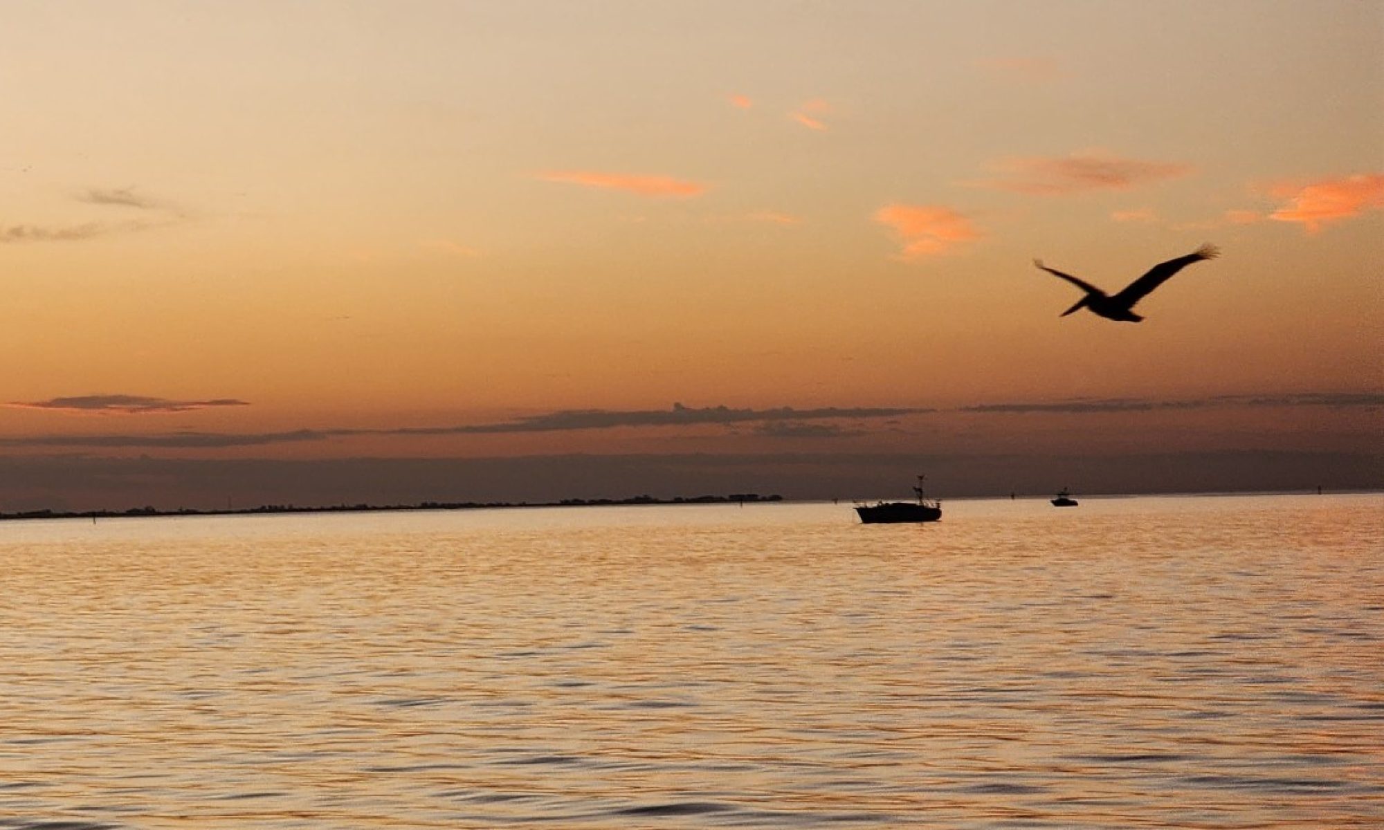 This blog is about sailing.