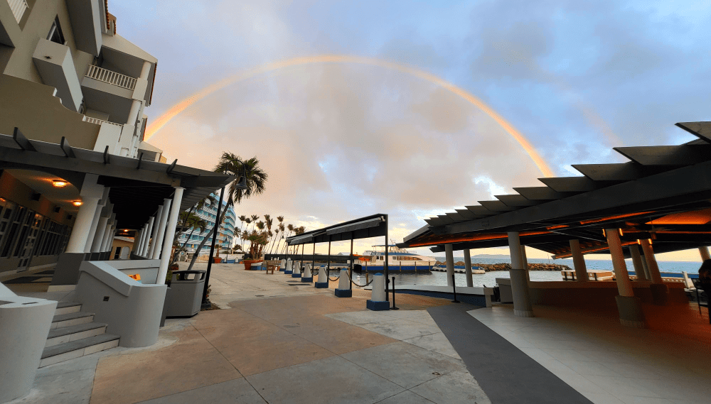 a full rainbow over the harbor