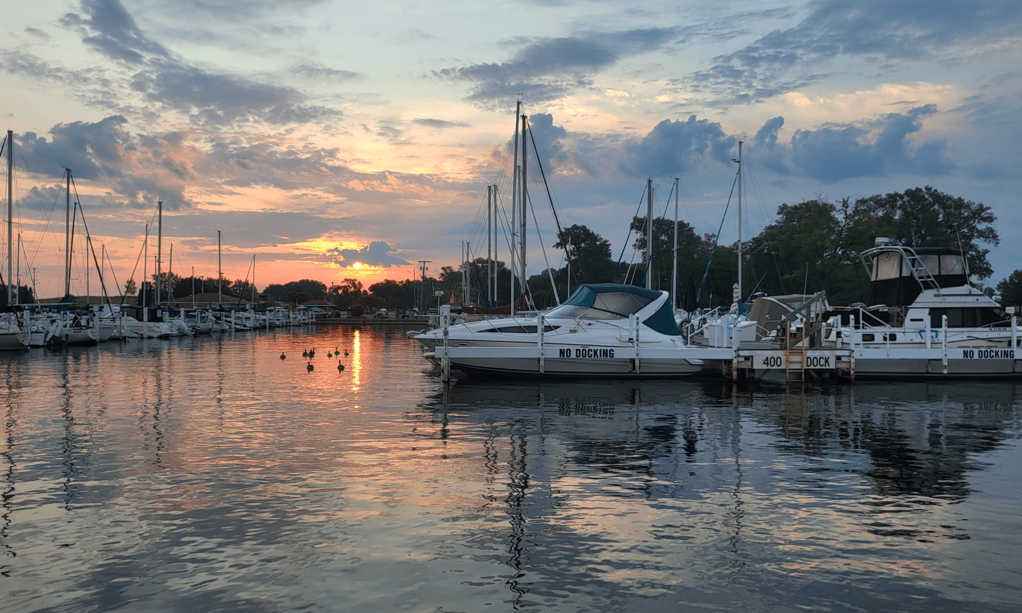 A beautiful sunrise over a marina, with ducks floating in the water that reflects the light