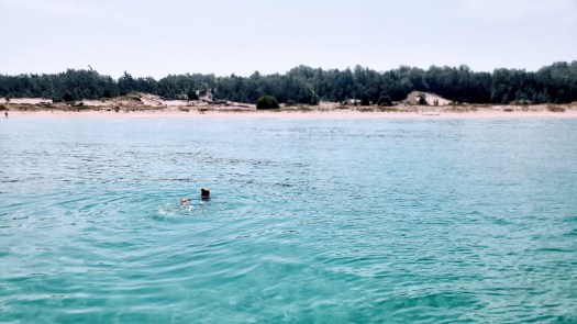 kent swimming off the shore of Cathead Bay.