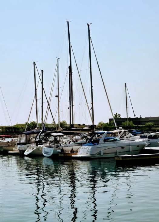 Sailboats parked in their slips in the marina.