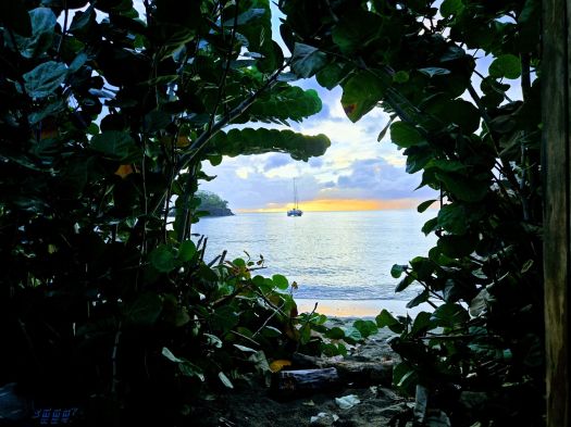 Sunset view of a sailboat anchored on calm water, seen through a tunnel of dense green foliage framing a sandy beach.