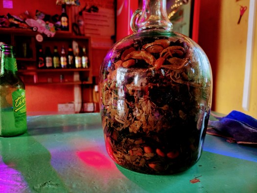 Large glass jar filled with herbs and botanicals on a green surface, with a green Ting soda bottle beside it and shelves of bottles in the background under colorful bar lighting.