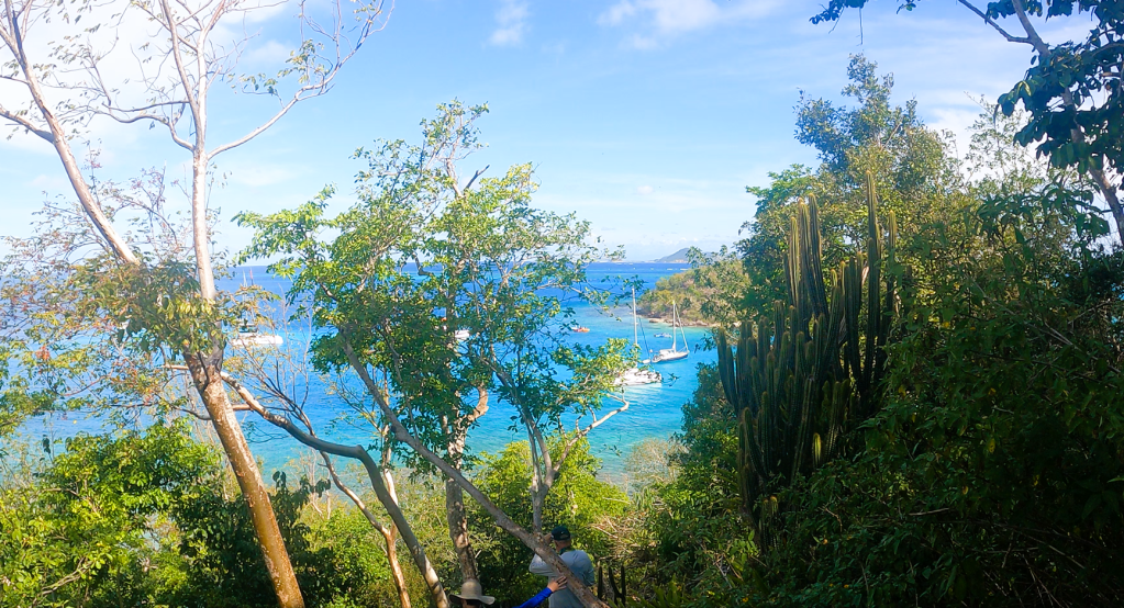 View from a hillside overlooking turquoise water with several sailboats anchored near the shore, framed by lush green vegetation and a tall cactus on the right, with small islands in the distance under a blue sky.